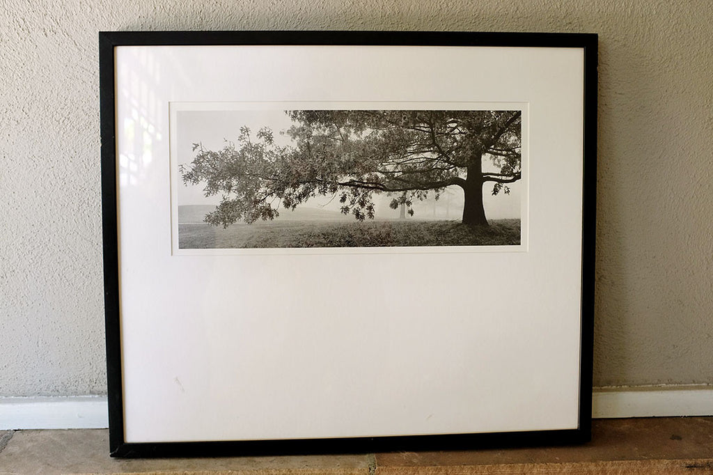 American Country Side Panoramic Landscape Gelatin Silver Photographic Print